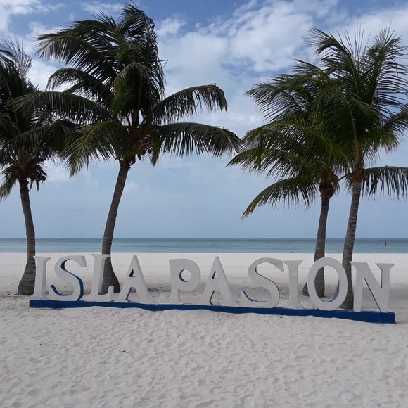 Meet your Posher, Dayzee - Picture 1 of 1